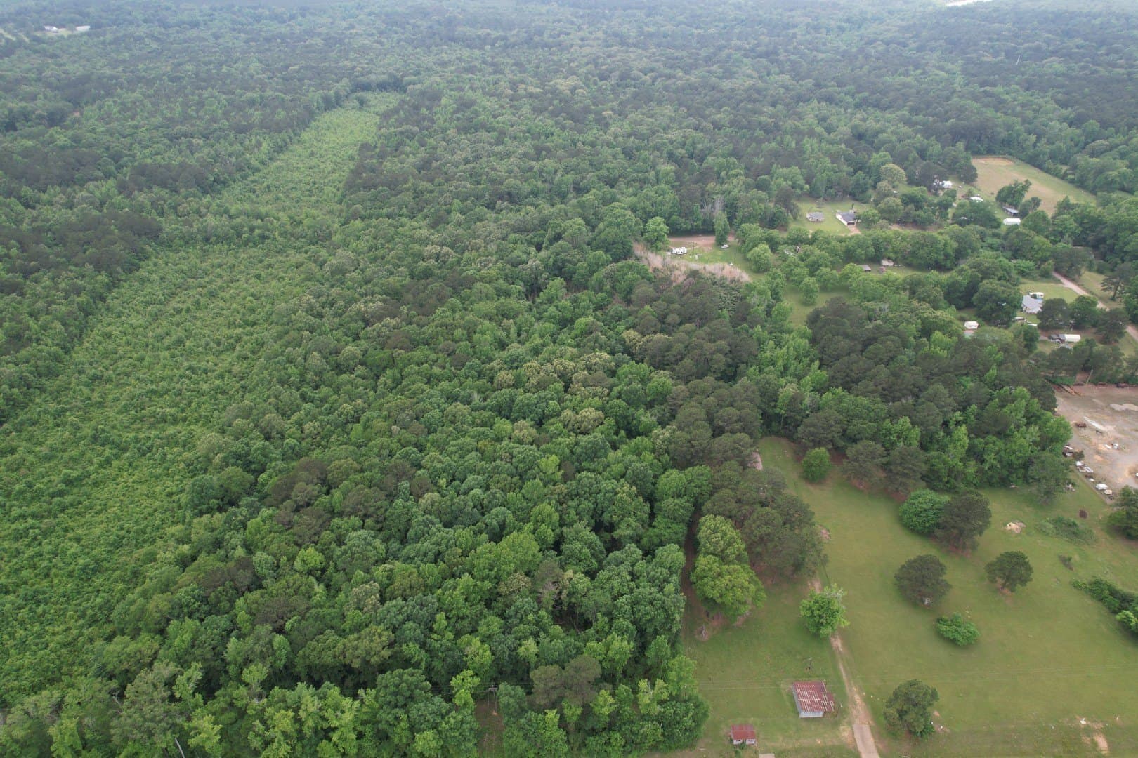 20.58 acres in Cass County - photo 11