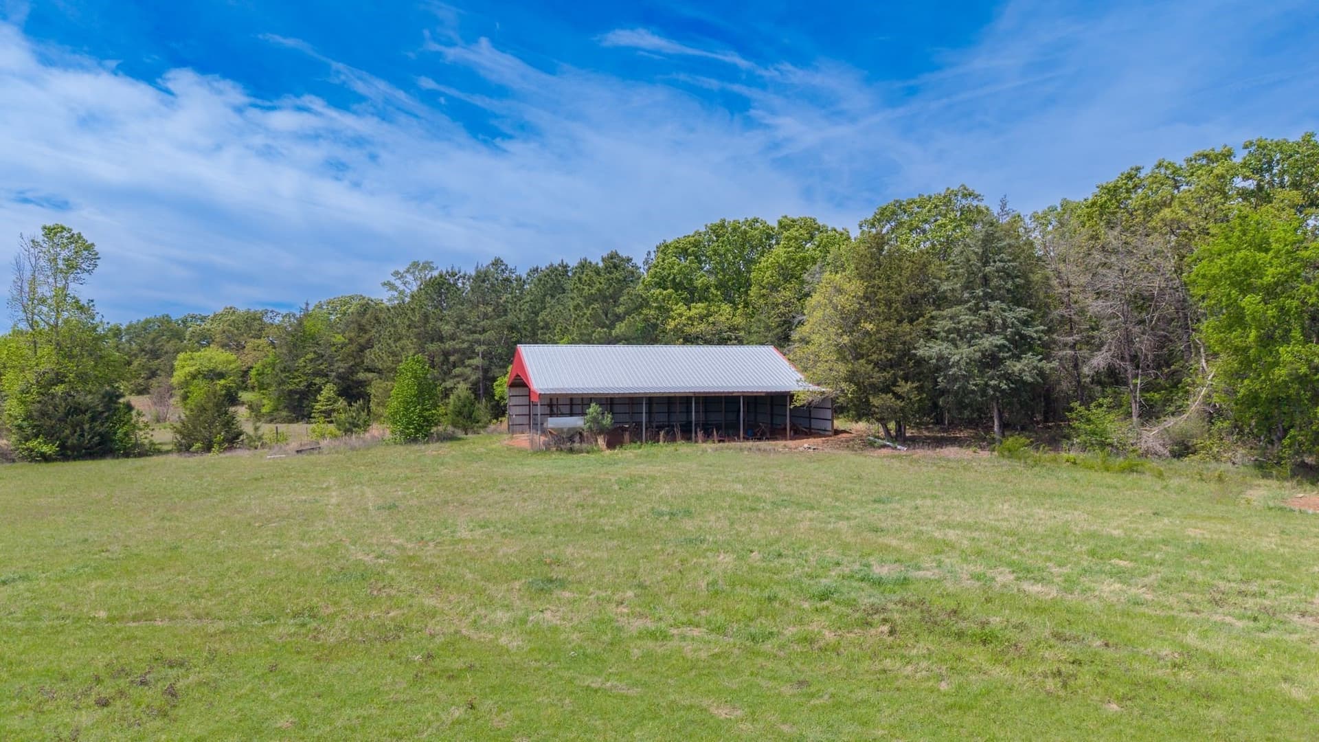 50 acres in Camp County - photo 6