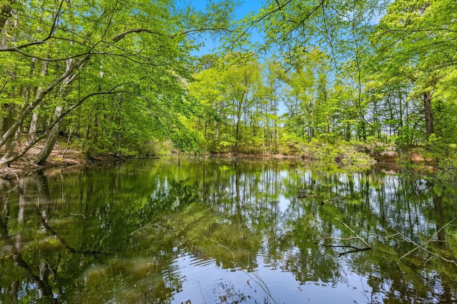 50 acres in Camp County - photo 40