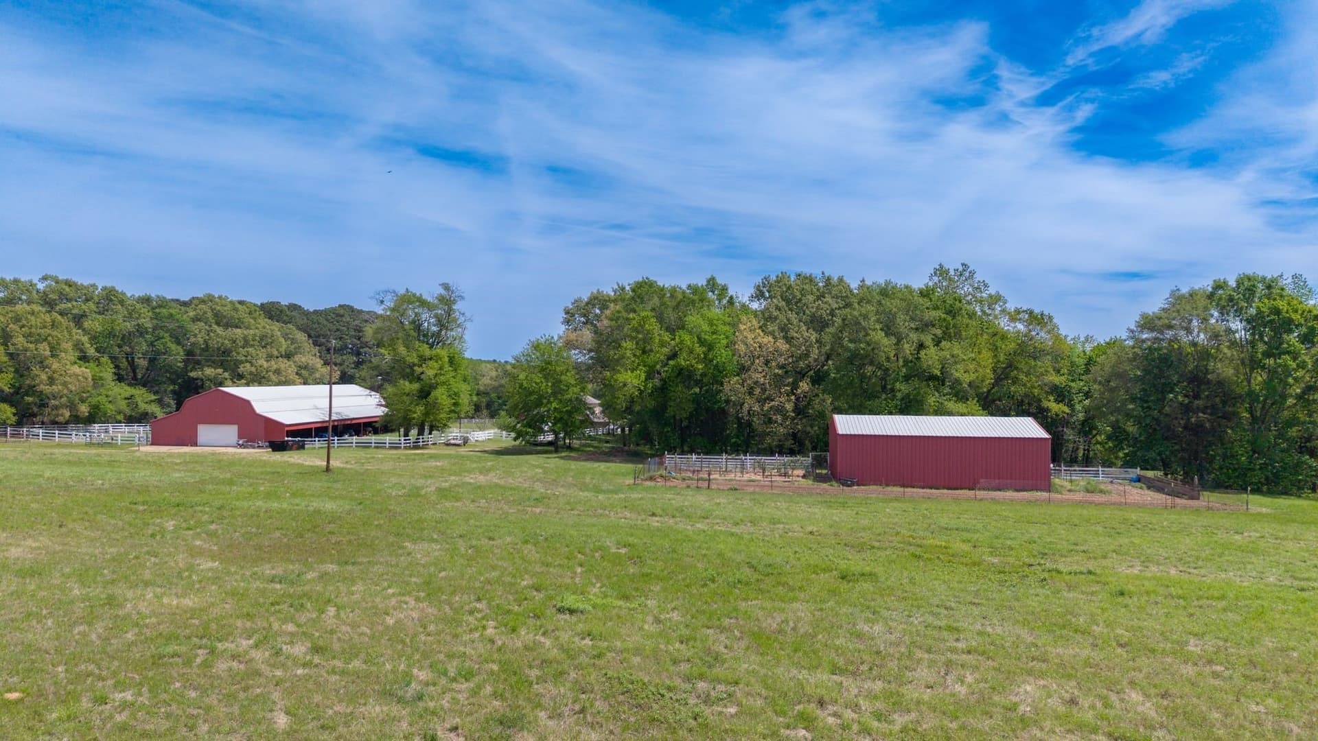 50 acres in Camp County - photo 5