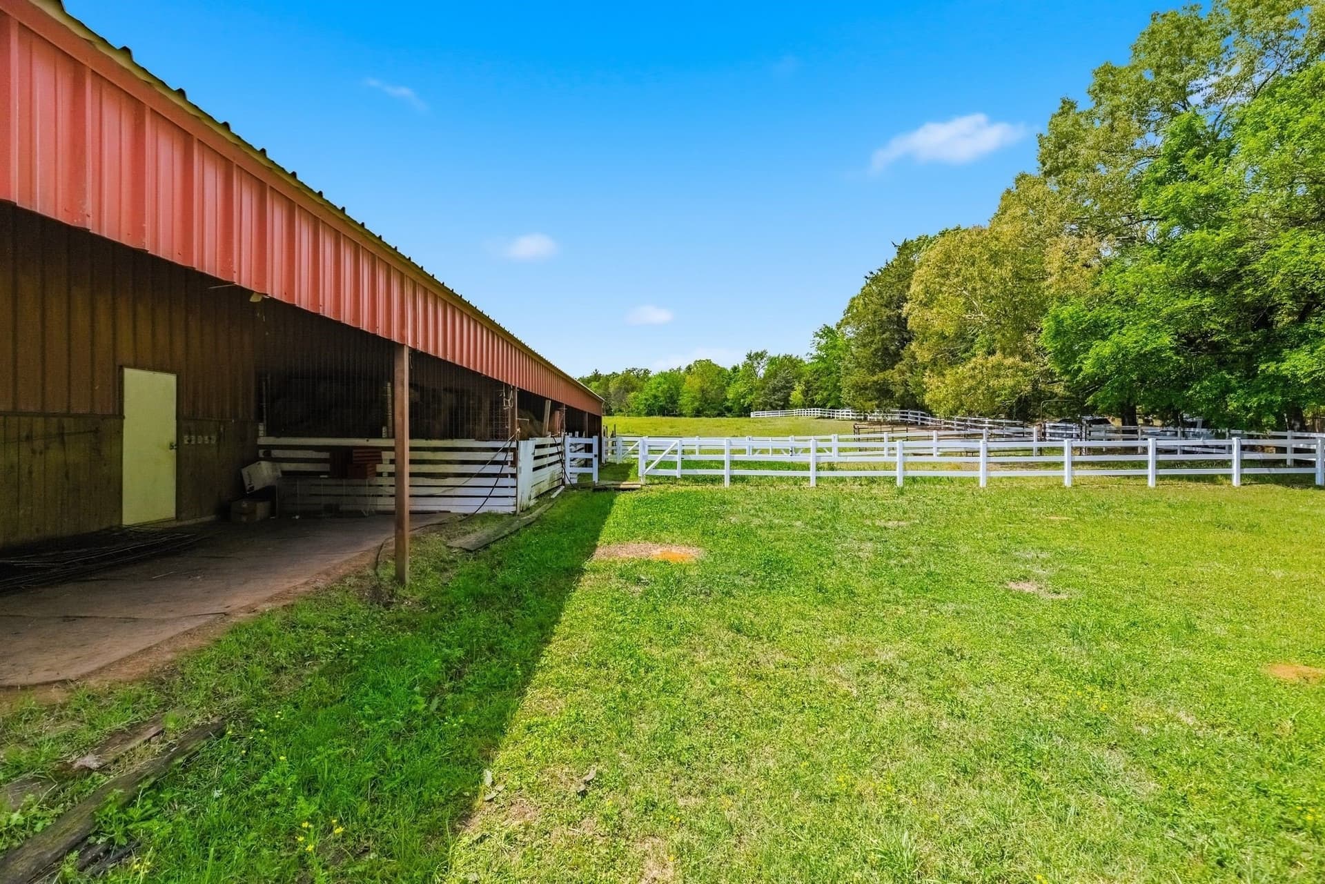 50 acres in Camp County - photo 35