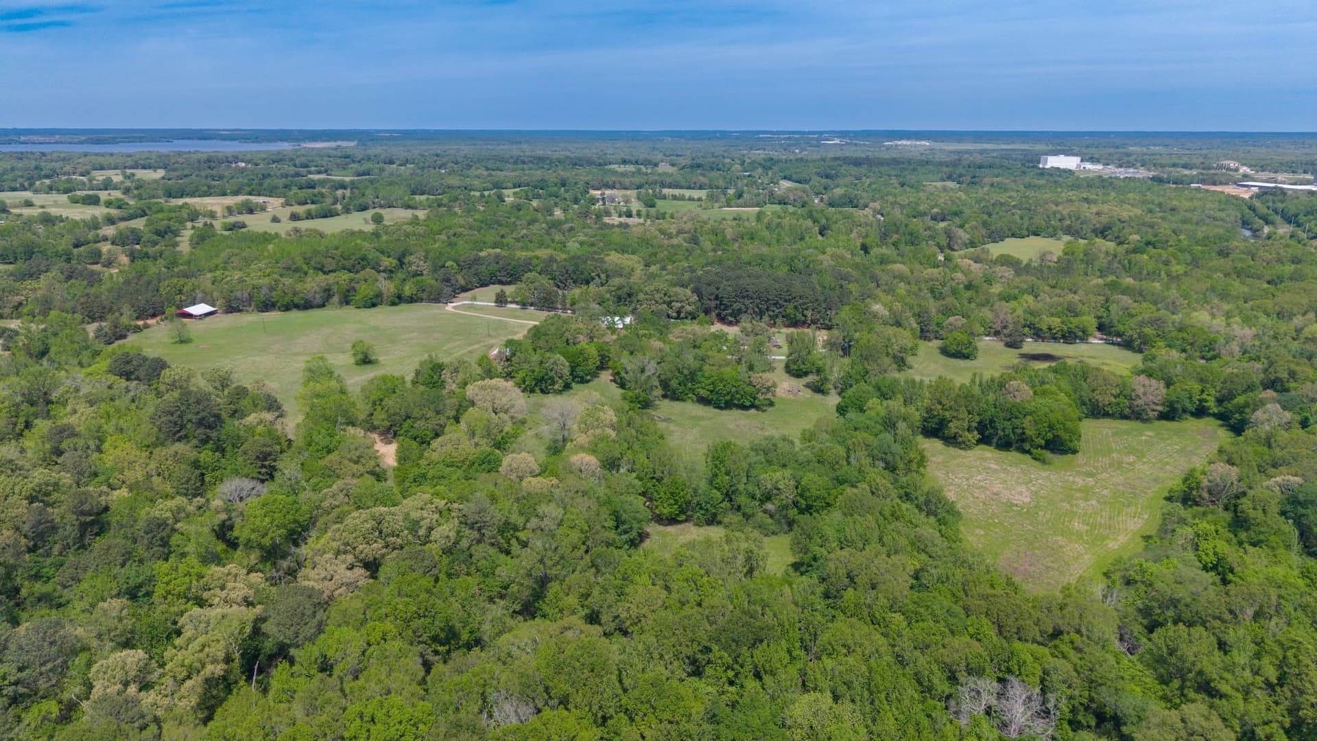 50 acres in Camp County - photo 38