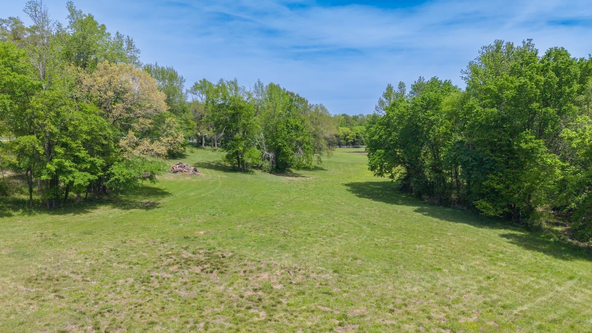 50 acres in Camp County - photo 26