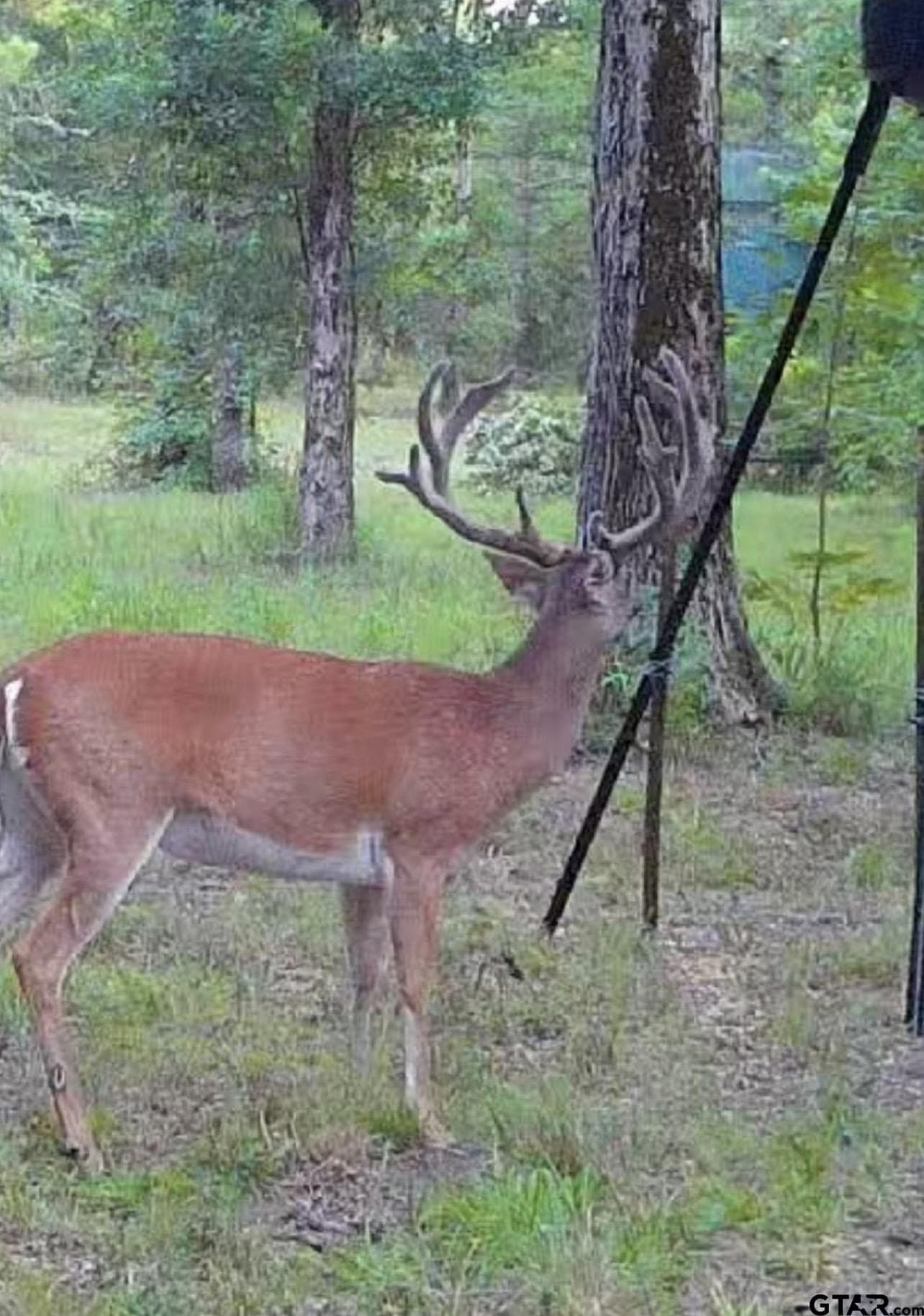 87.4 acres in Wood County - photo 28