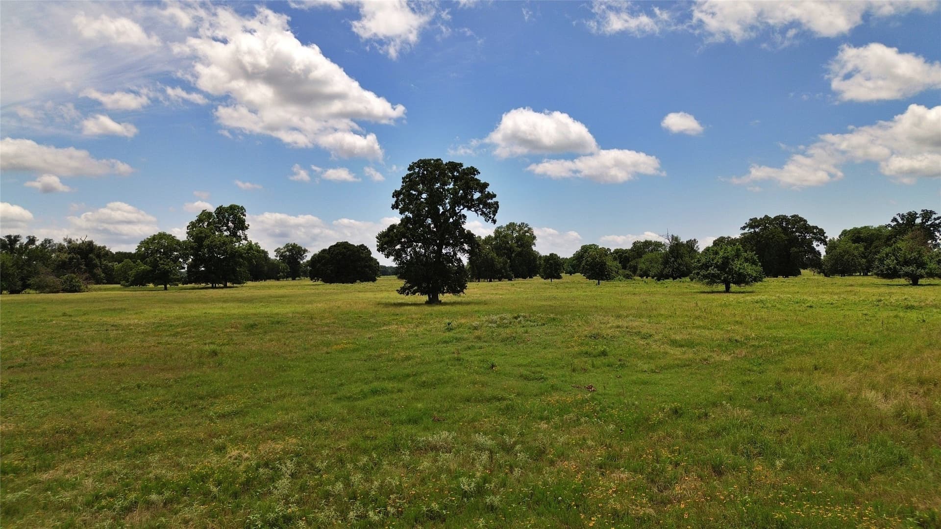 261.69 acres in Delta County - photo 29
