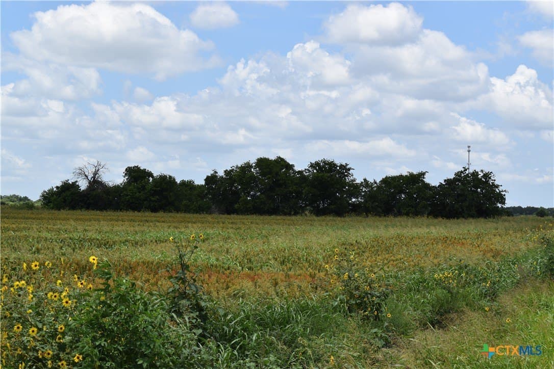 20 acres in Milam County featured view