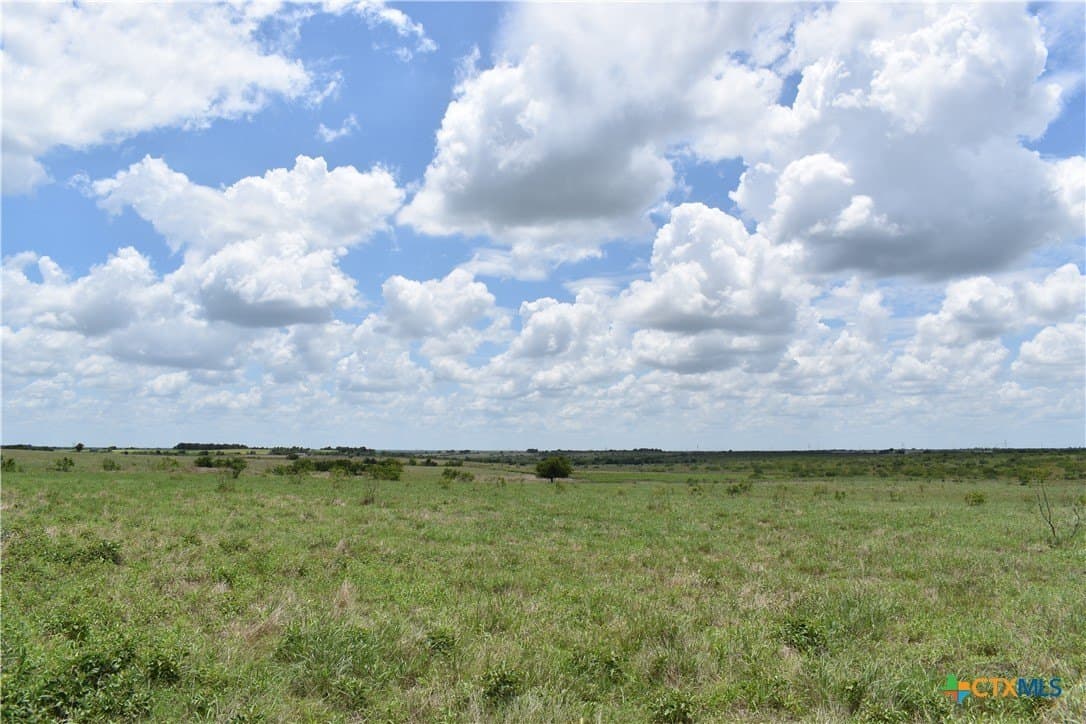 20 acres in Milam County gallery image 3