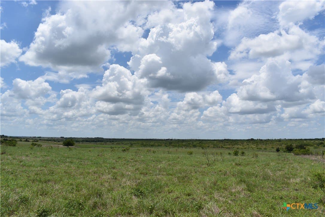 20 acres in Milam County