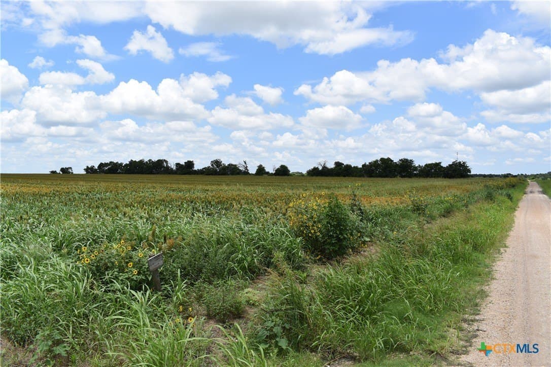 20 acres in Milam County gallery image 4