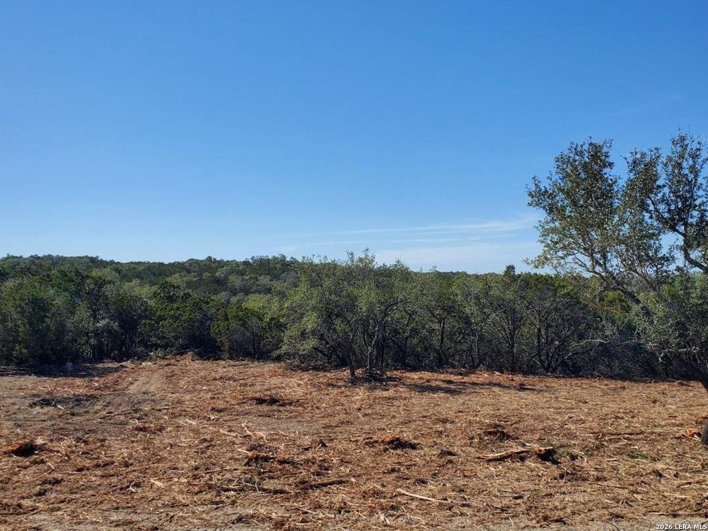 1.5 acres in Comal County - photo 7