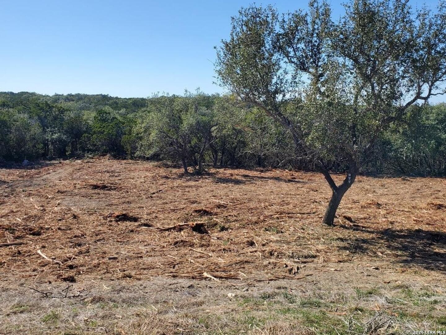 1.5 acres in Comal County - photo 8
