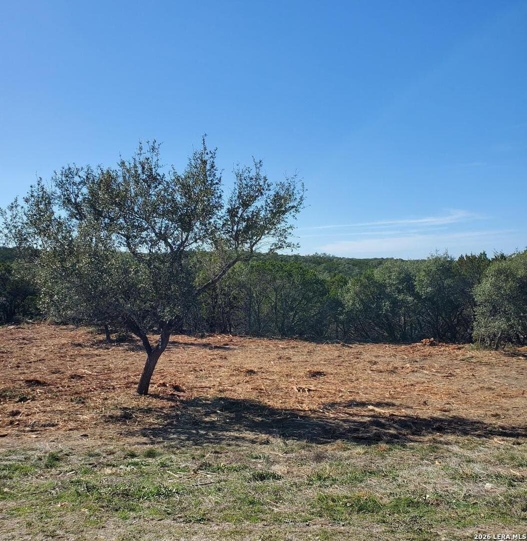 1.5 acres in Comal County - photo 10