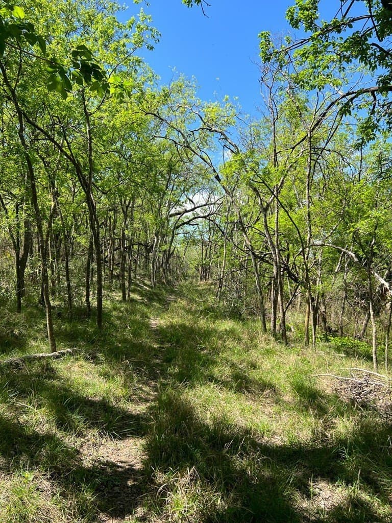 21.15 acres in Maverick County - photo 13