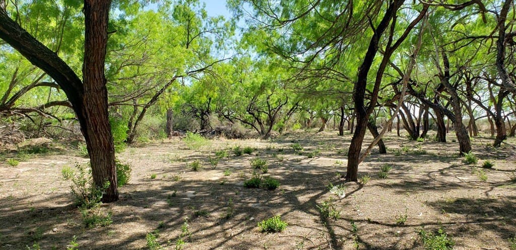 21.15 acres in Maverick County - photo 35