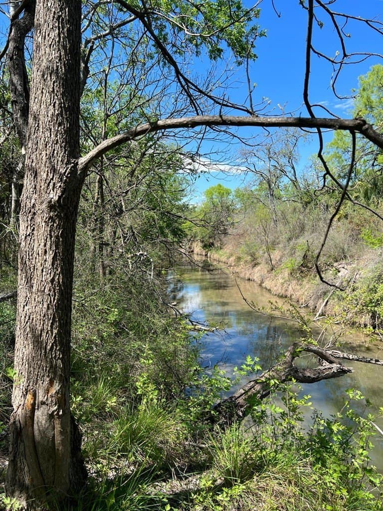 21.15 acres in Maverick County - photo 6