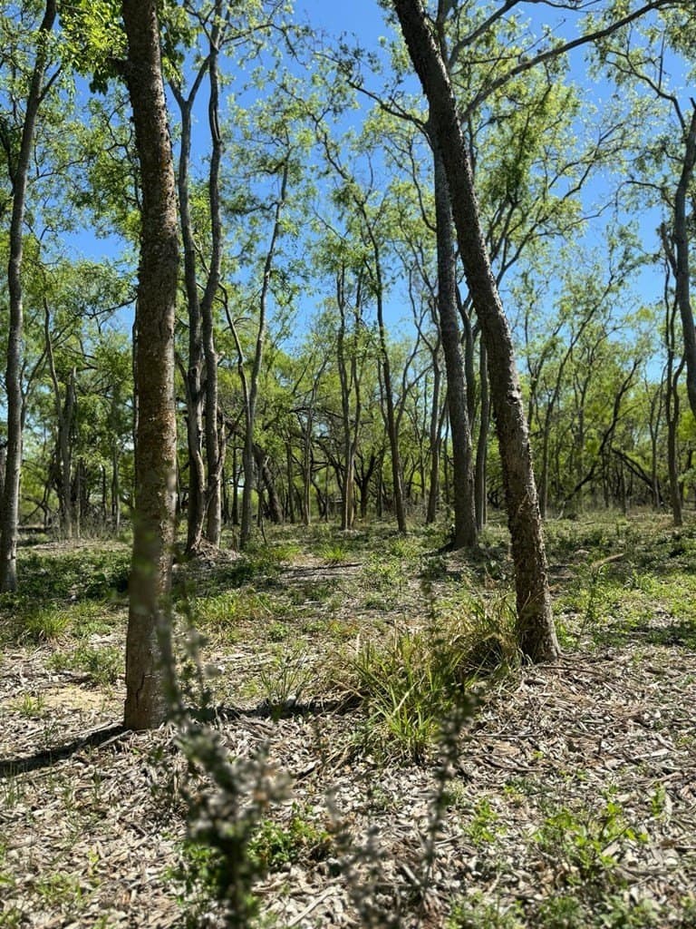 21.15 acres in Maverick County - photo 14