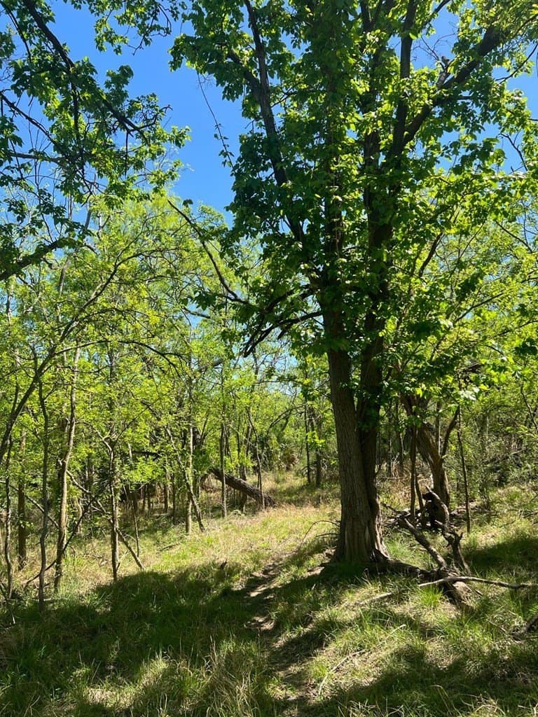 21.15 acres in Maverick County - photo 15