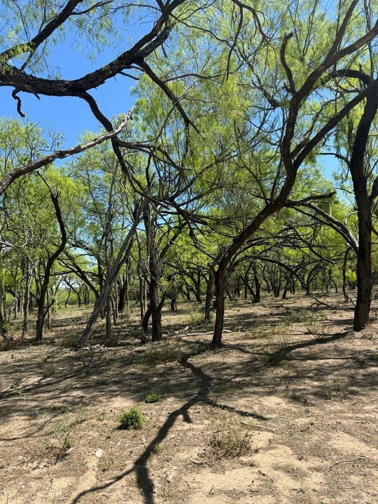 21.15 acres in Maverick County - photo 16