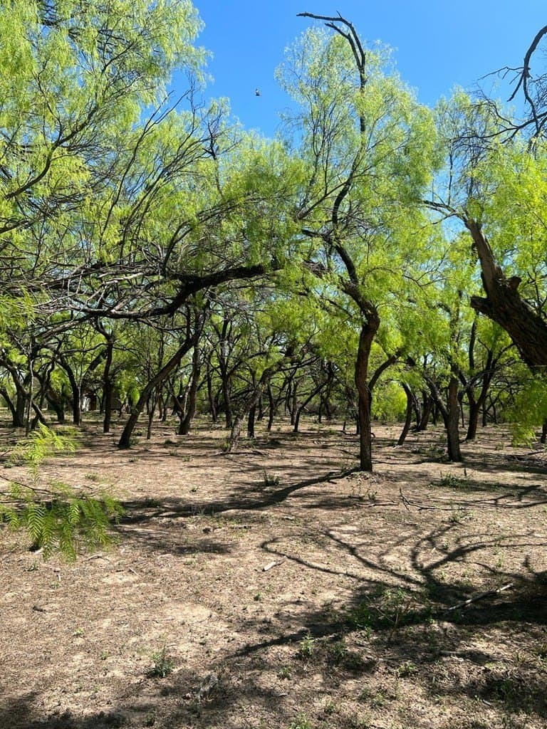 21.15 acres in Maverick County - photo 19