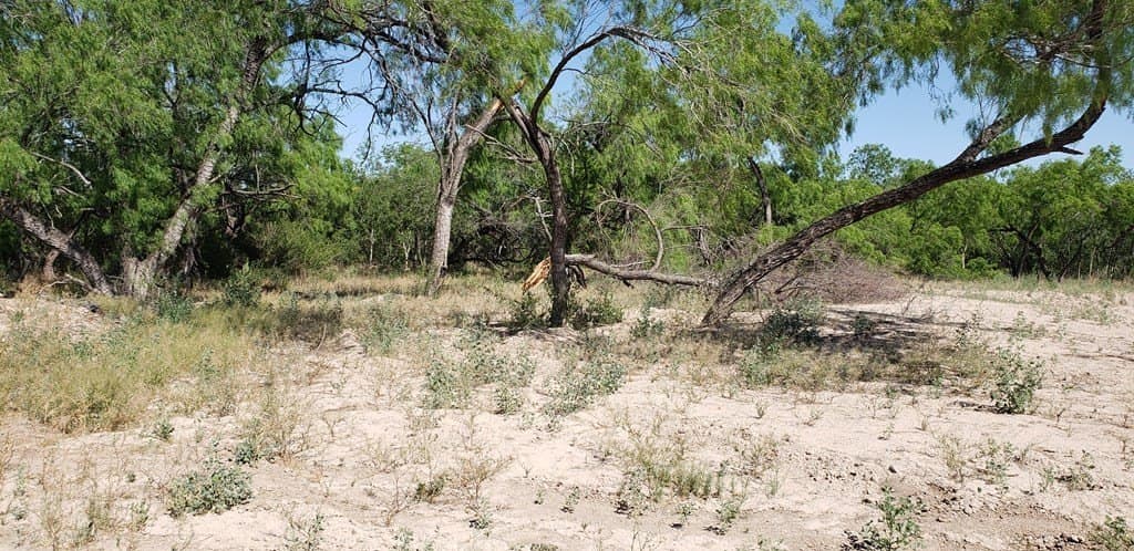 21.15 acres in Maverick County - photo 27