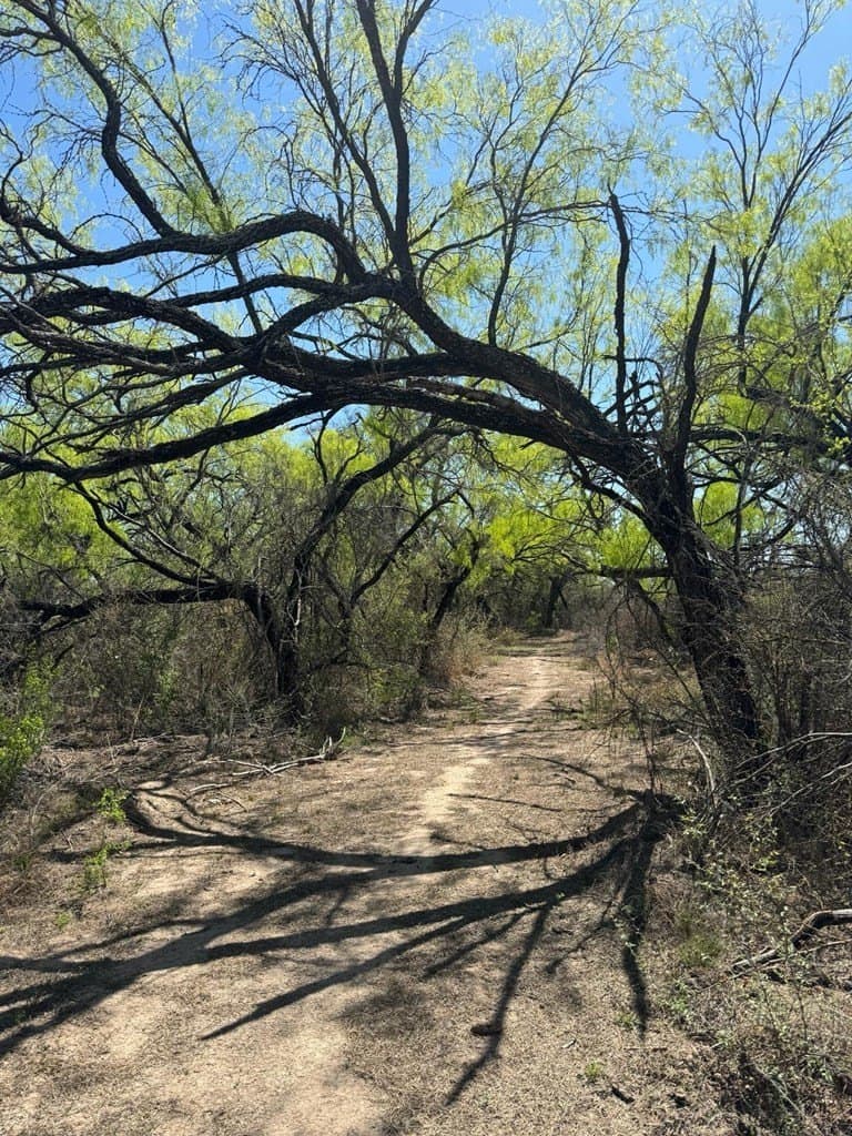 21.15 acres in Maverick County - photo 11