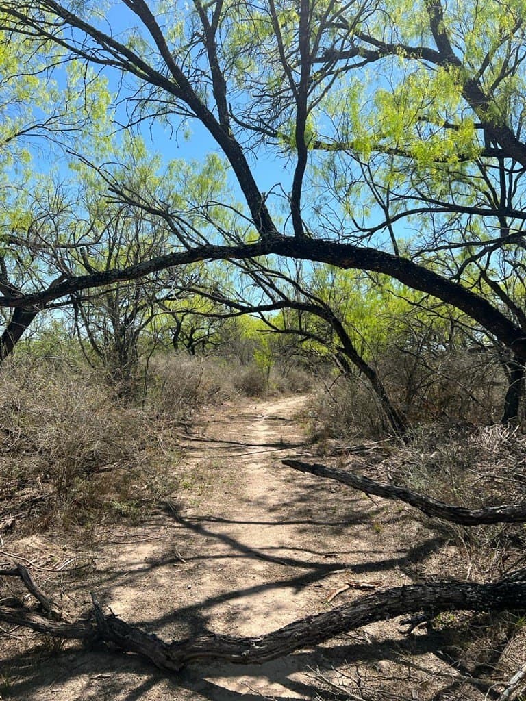 21.15 acres in Maverick County - photo 10