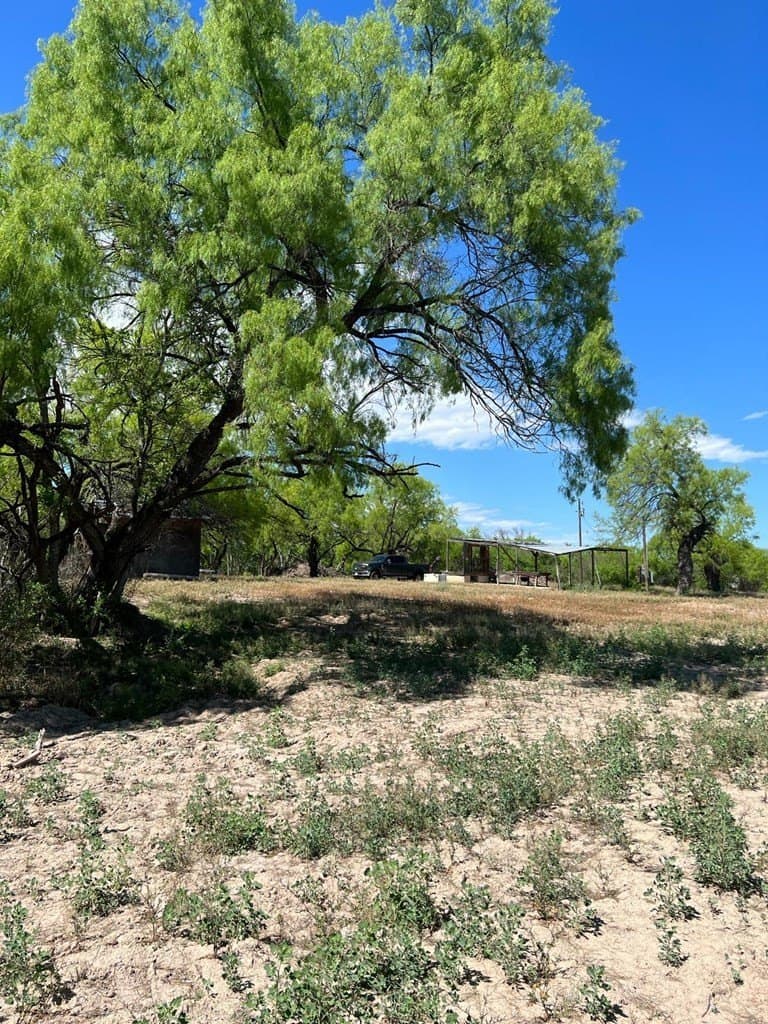 21.15 acres in Maverick County - photo 18
