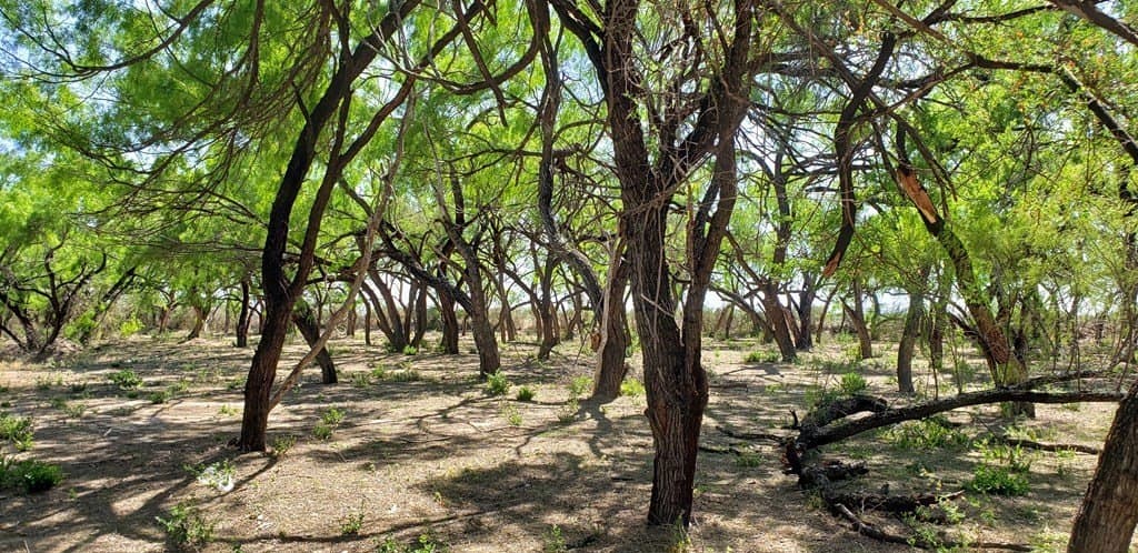 21.15 acres in Maverick County - photo 36