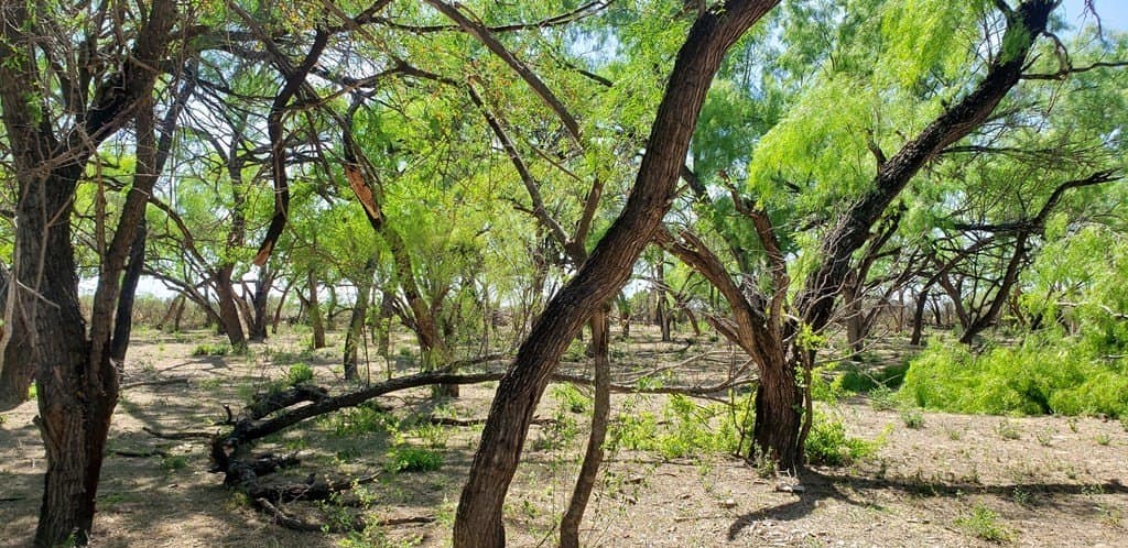21.15 acres in Maverick County - photo 37