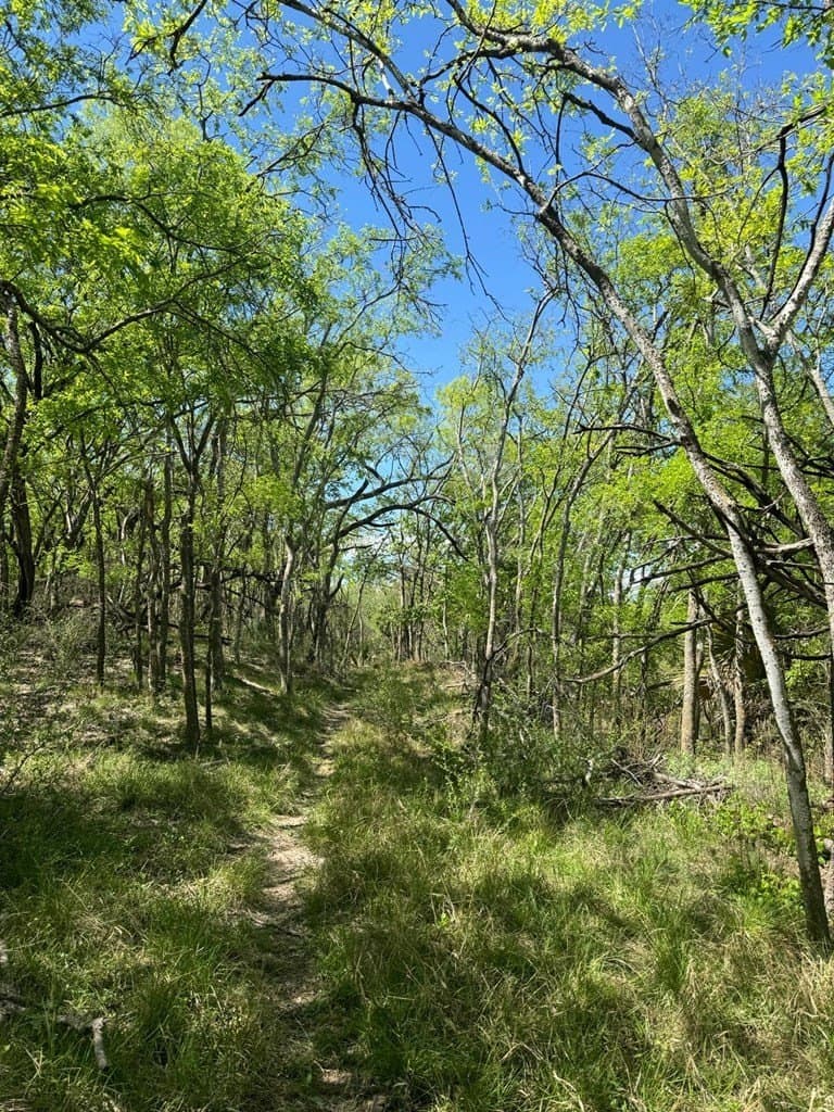 21.15 acres in Maverick County - photo 20