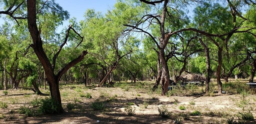 21.15 acres in Maverick County - photo 46