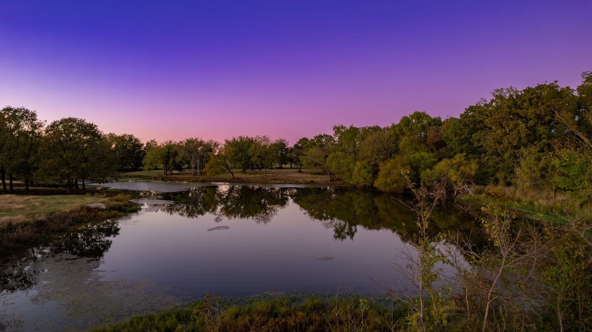 71.63 acres in Hopkins County gallery image 2