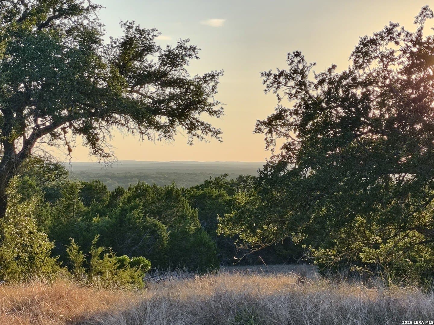 29.87 acres in Comal County - photo 17