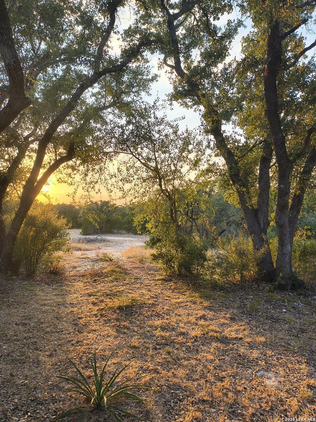 29.87 acres in Comal County - photo 20