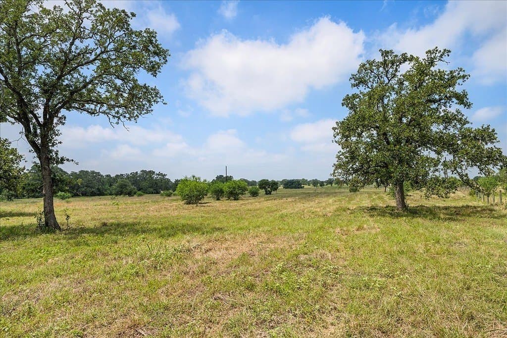 10 acres in Fayette County - photo 14