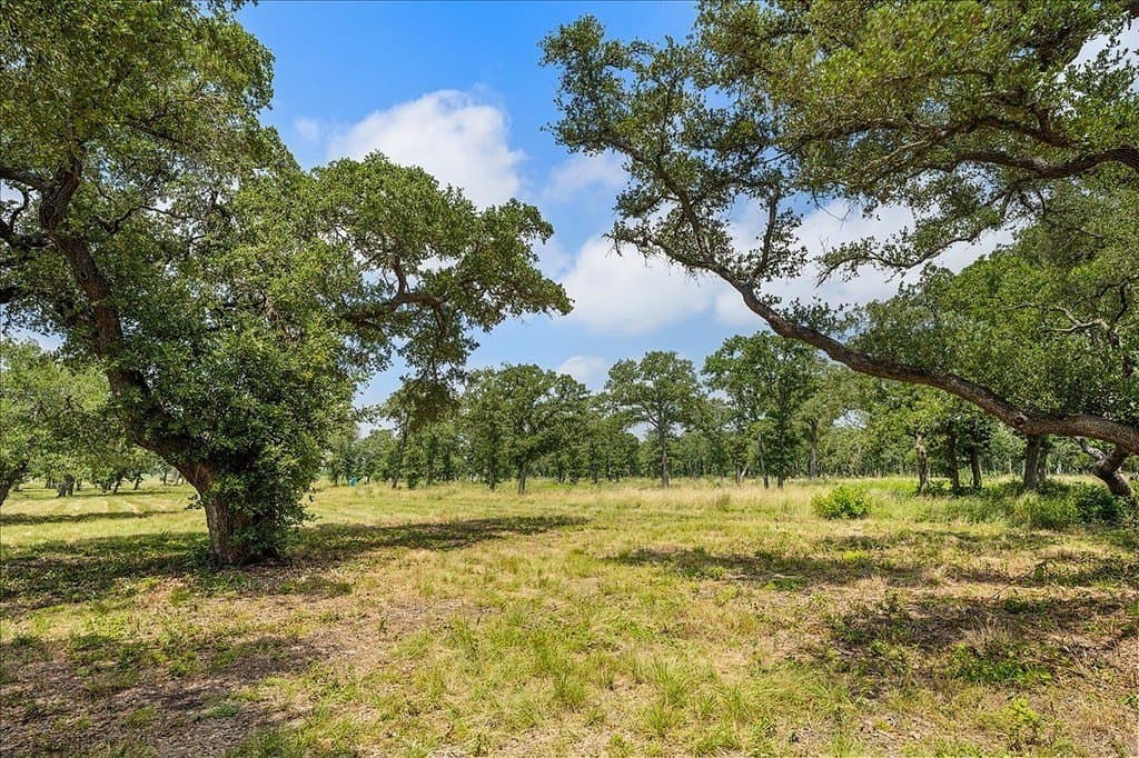 10 acres in Fayette County - photo 9