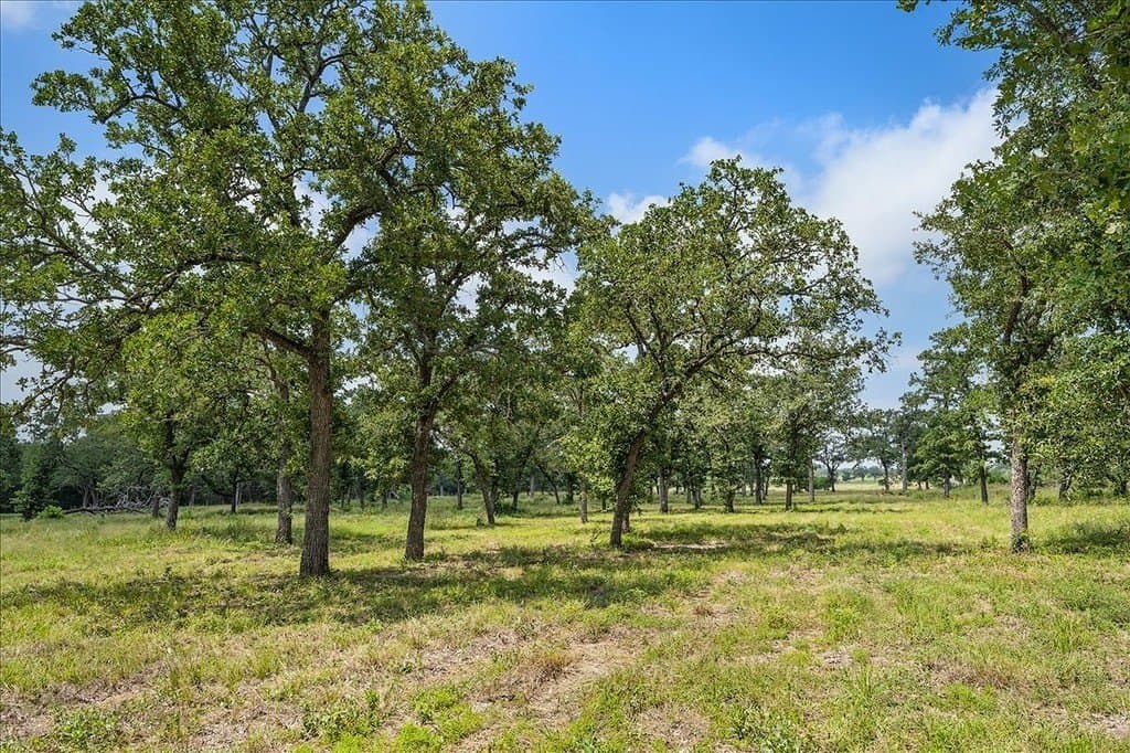 10 acres in Fayette County - photo 7