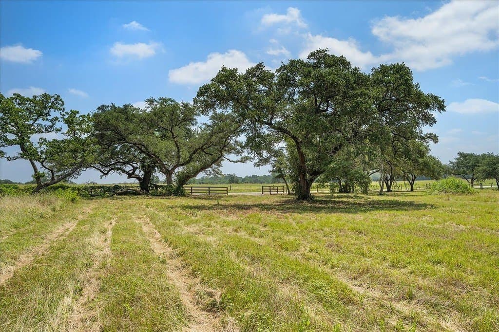 10 acres in Fayette County - photo 6