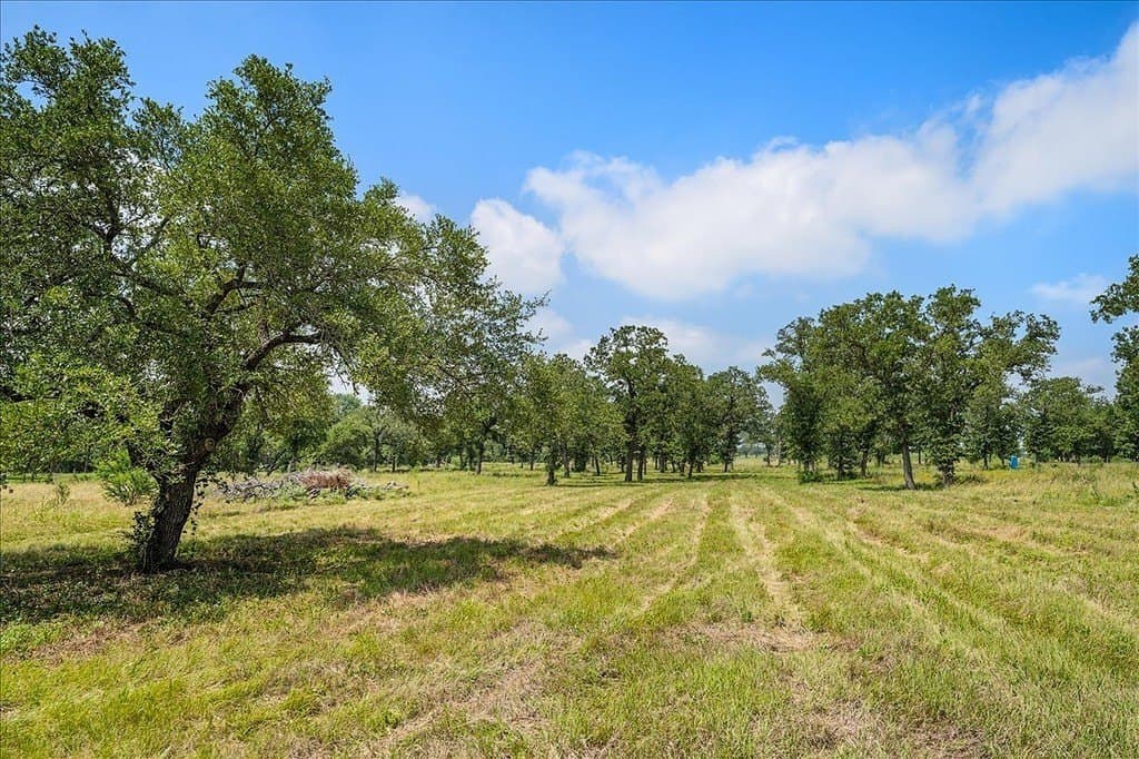 10 acres in Fayette County - photo 8