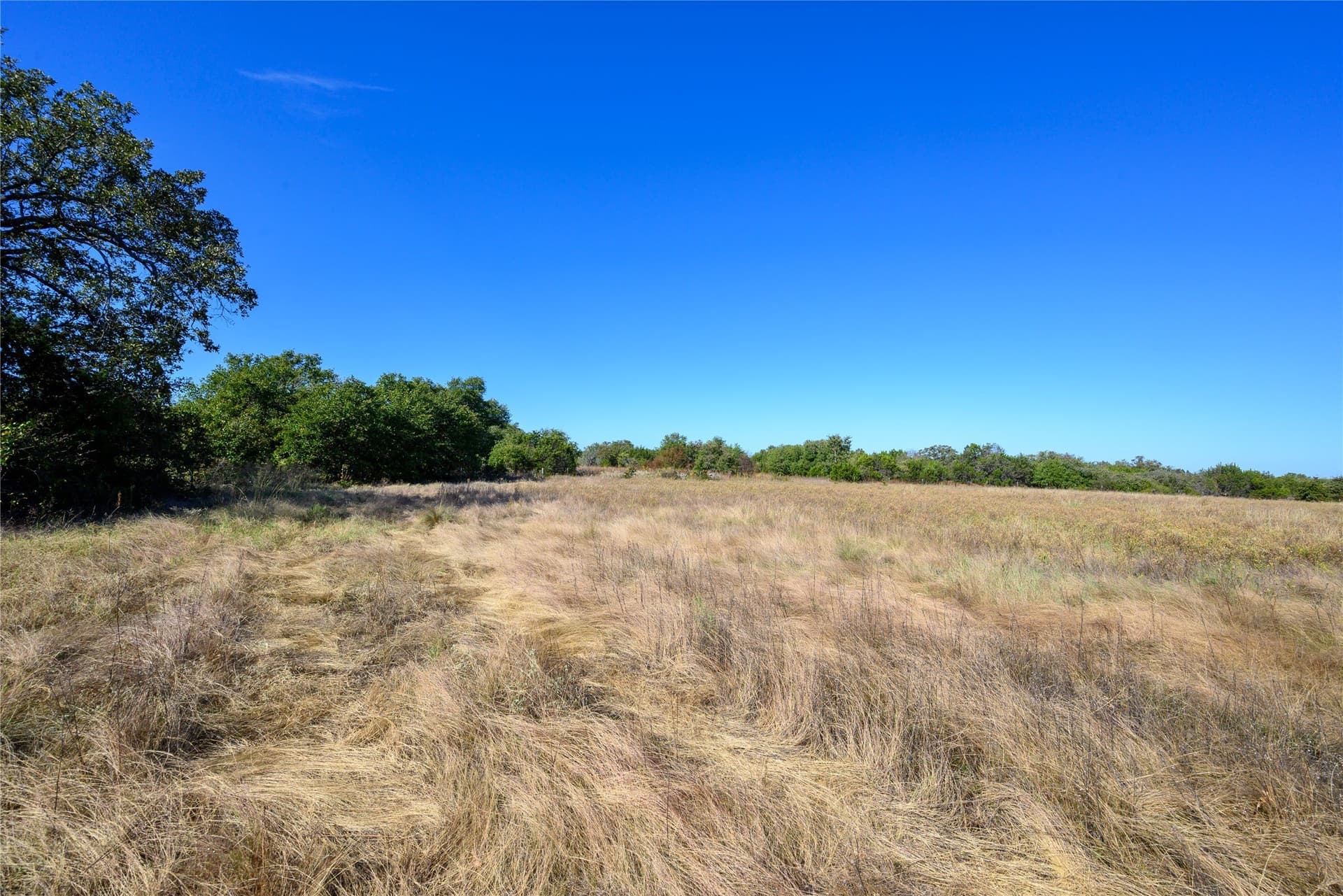 28.6 acres in Palo Pinto County - photo 6