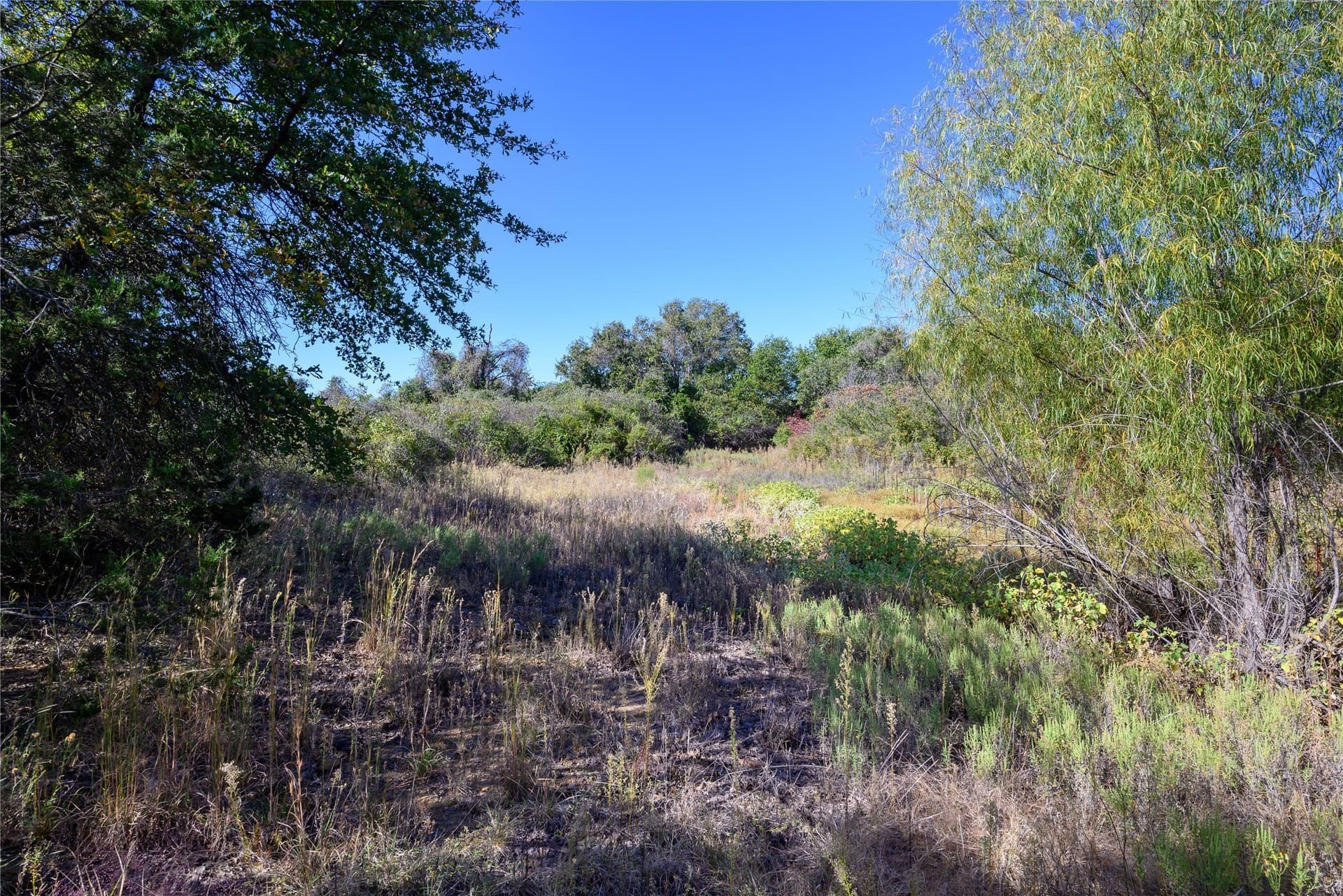 28.6 acres in Palo Pinto County - photo 10