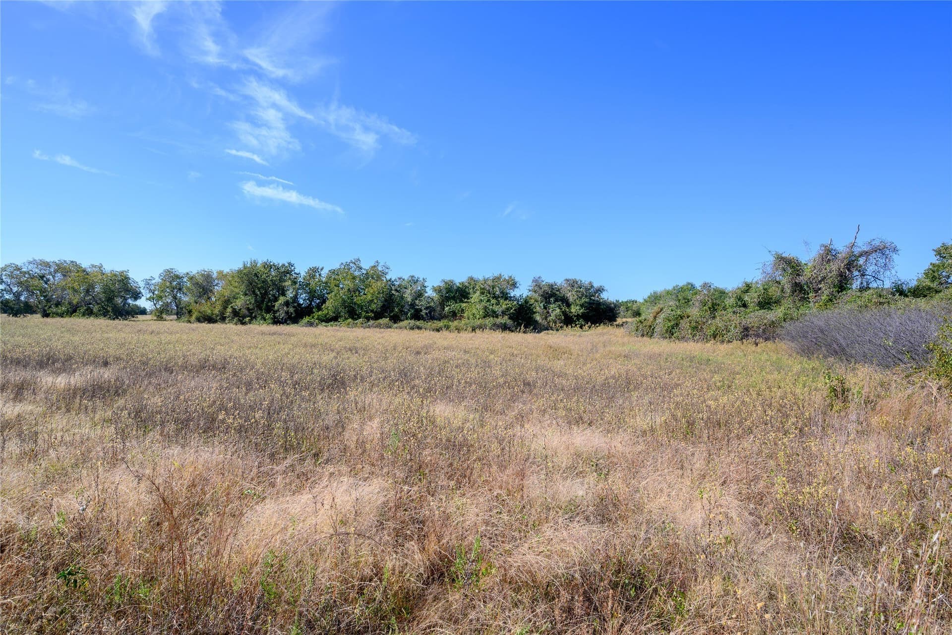 28.6 acres in Palo Pinto County - photo 9