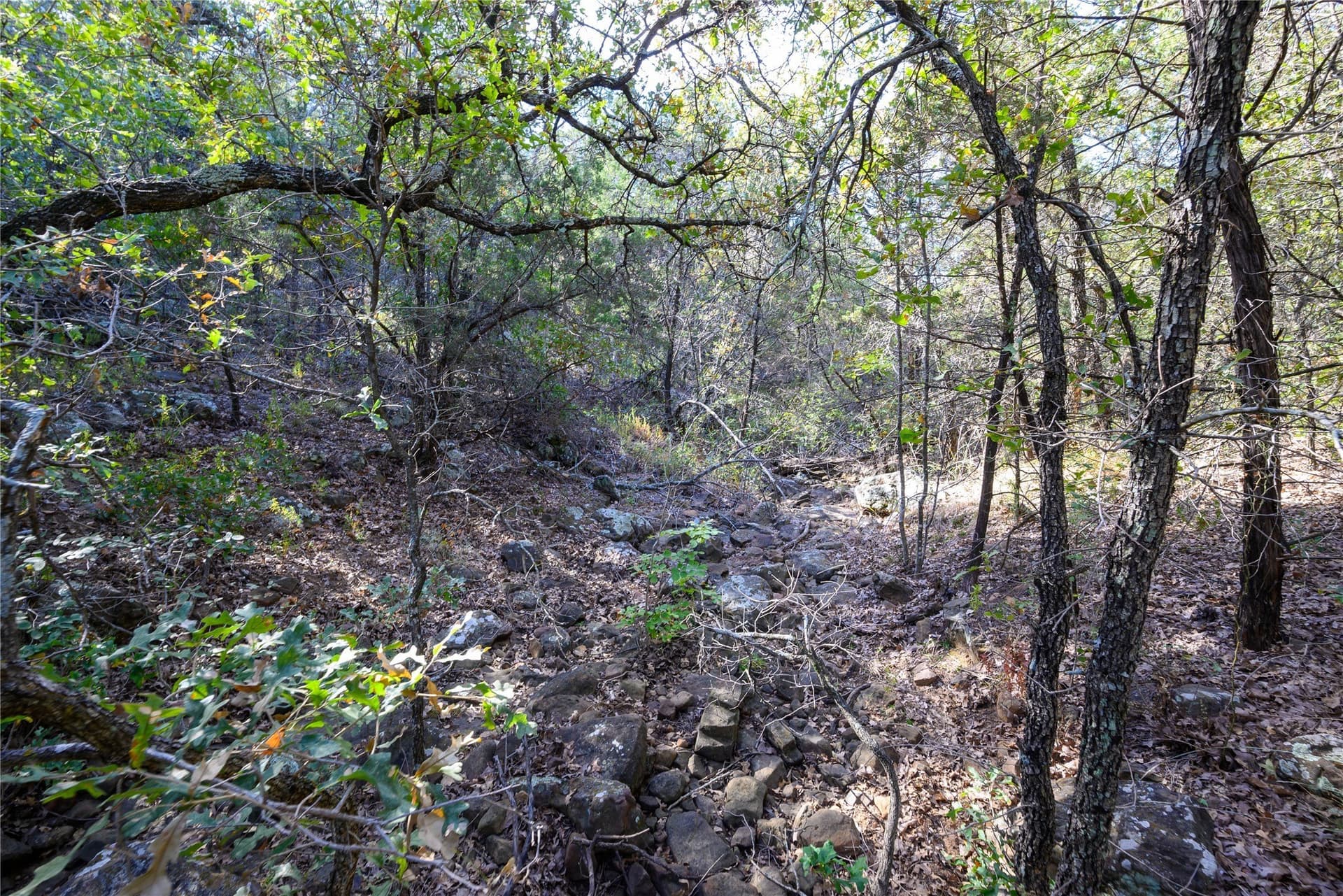 28.6 acres in Palo Pinto County gallery image 3