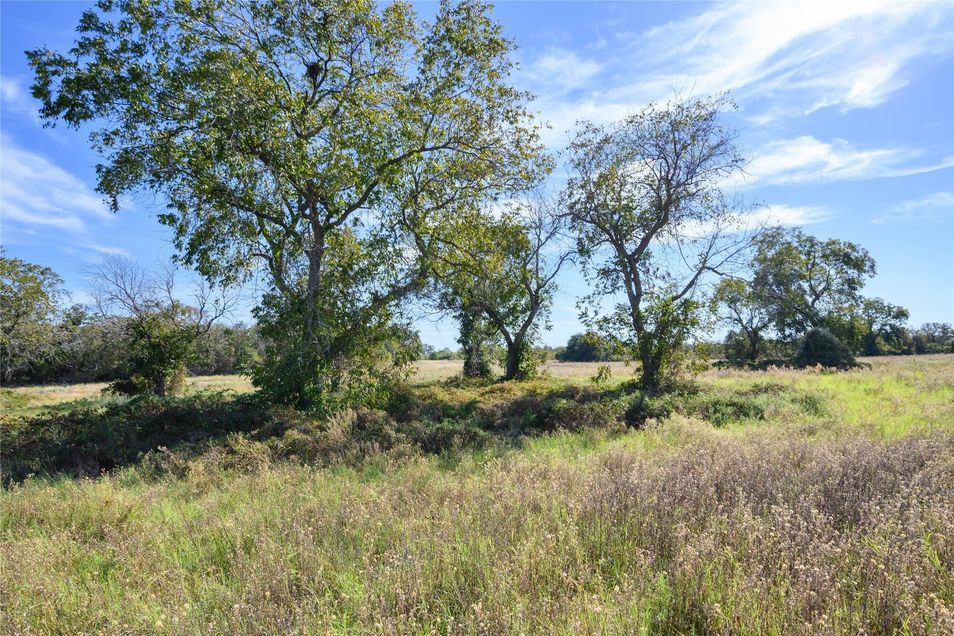 28.6 acres in Palo Pinto County - photo 8