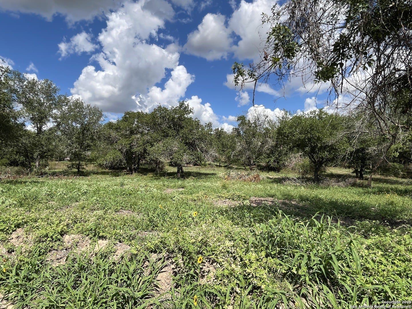 0.54 acres in Wilson County - photo 19
