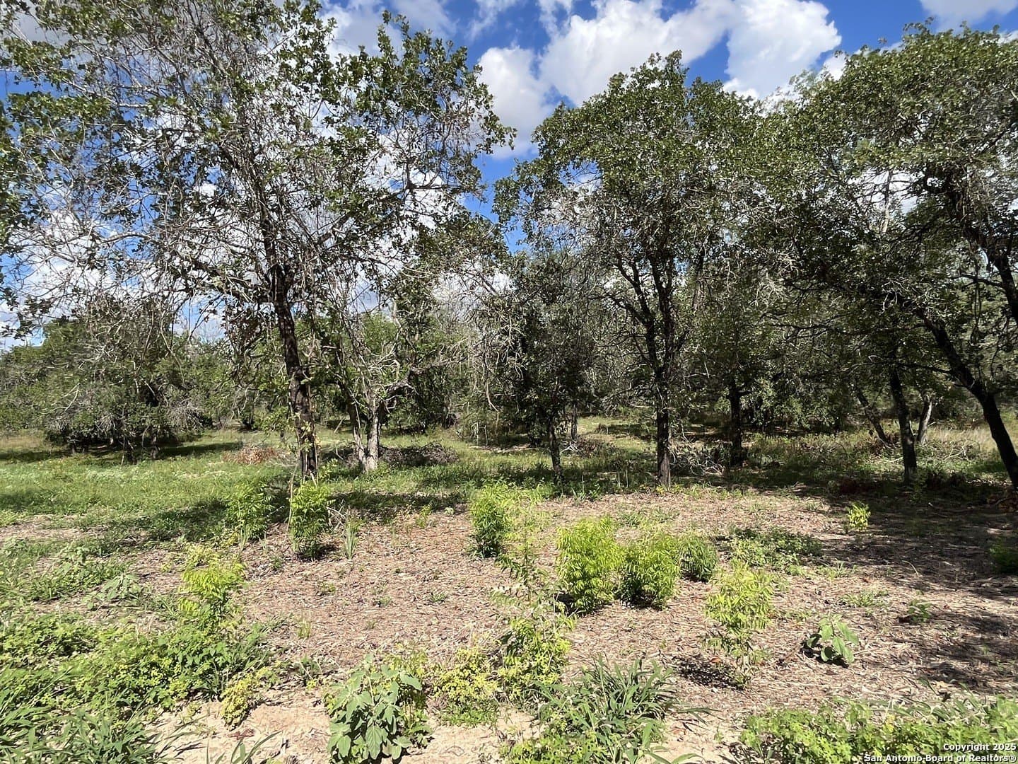 0.54 acres in Wilson County - photo 16