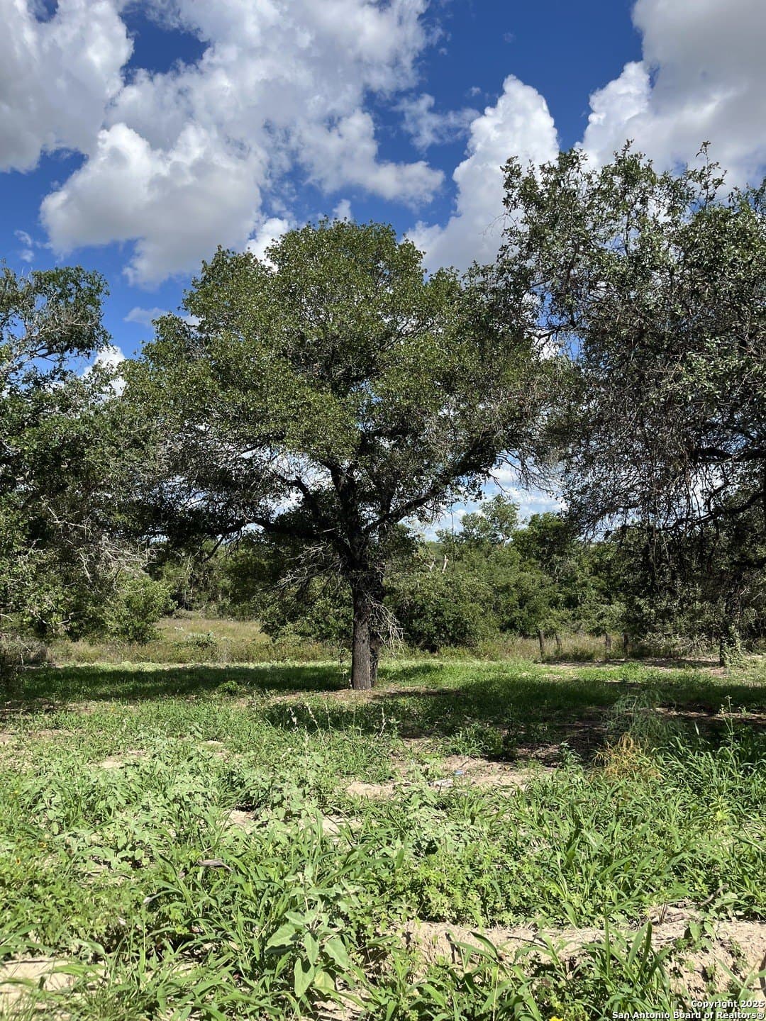 0.54 acres in Wilson County - photo 5