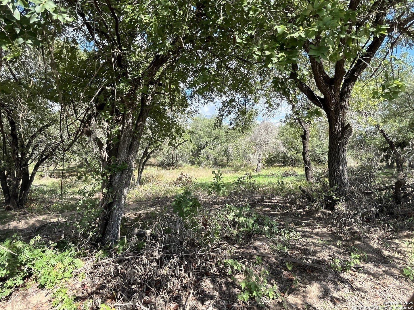 0.54 acres in Wilson County - photo 15