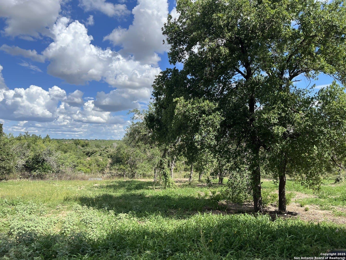 0.54 acres in Wilson County - photo 7