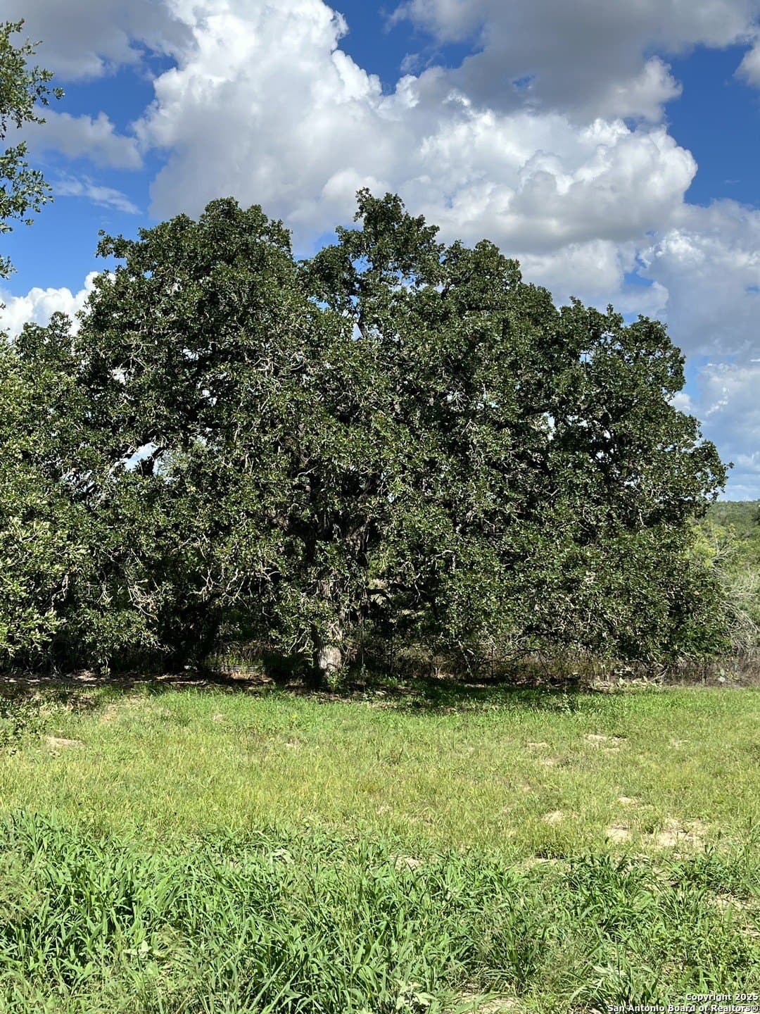 0.54 acres in Wilson County - photo 8